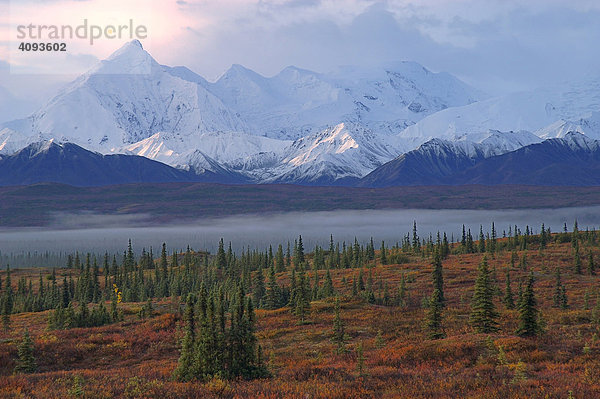 Lichtstimmung   Sonnenaufgang und Morgennebel im Wonderlake Gebiet sowie Gletscherwelt der schneebedeckten Alaskarange und rotverfärbter Tundra   Zwerg-Birke (Betula nana) Denali Nationalpark Alaska USA