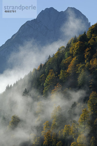 Morgennebel / Nebelstimmung im herbstlich verfärbten Karwendelgebirge