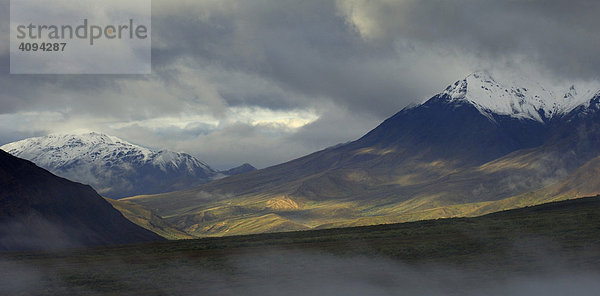 Bergtundra mit Nebel und Regenwolken  Denali Nationalpark  Alaska  USA  Nordamerika