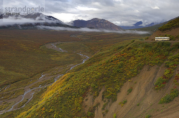 Touristenbus fährt über den Polycrome Pass  Denali Nationalpark  Alaska  USA  Nordamerika