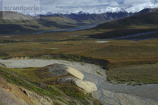 Herbst in der Tundra  Denali Nationalpark  Alaska  USA  Nordamerika