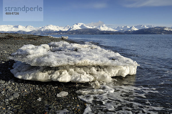 Eisscholle am Strand der Kachemak Bay  Kenai Peninsula  Alaska  USA