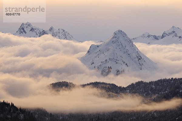 Morgendämmerung im Kachemak Bay State Park  Kenai Peninsula  Alaska  USA