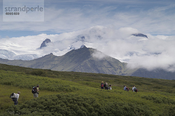 Blick von Aussichtspunkt Oddasker zum höchsten Berg Islands dem Hvannadalsnhjukur 2119 m Wanderer im Birkengestrüpp des Skaftafell Nationalpark Skaftafell Nationalpark Südküste Island