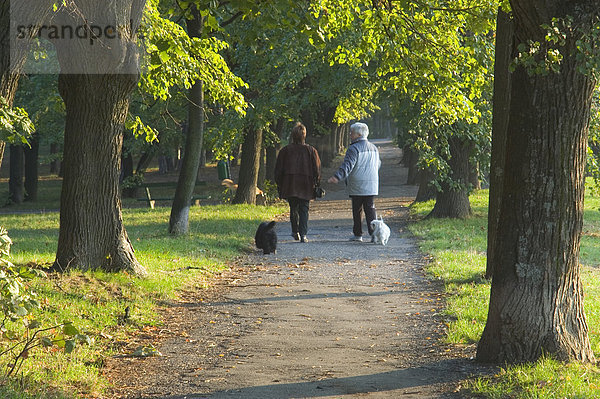 Zwei ältere Damen gehen mit ihren Hunden durch eine Parkallee von Perchtoldsdorf Niederösterreich Österreich