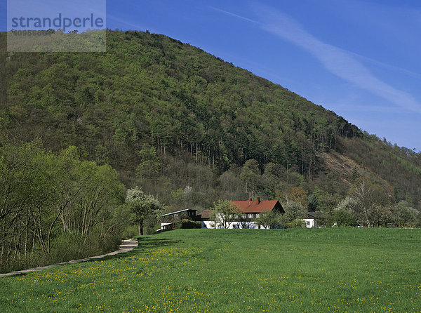 Bauernhof und Wiese  Fahrafeld  Niederösterreich