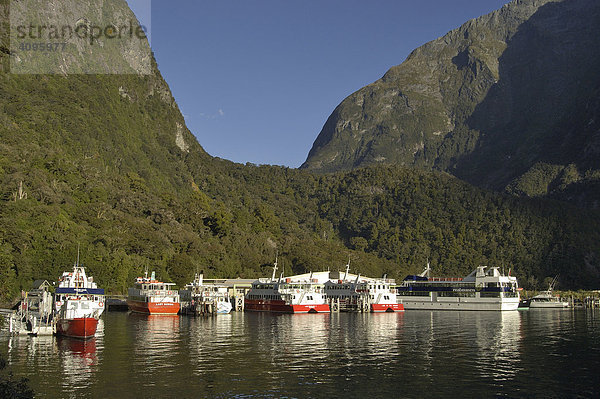 Ausflugsboote  Milford Sound  Südinsel  Neuseeland