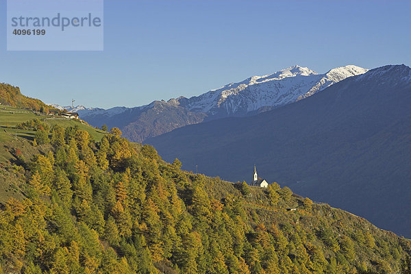 Herbstliche Landschaft bei Tanas  Vinschgau  Südtirol  Italien