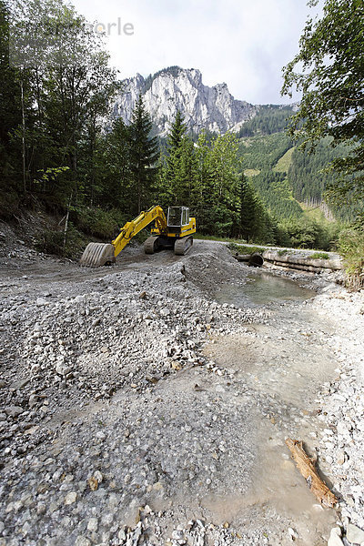 Ein Bagger zum Beseitigen der Schäden nach einem Hochwasser bei einem Wildbach im Jassing Tal  Hochschwab  Steiermark  Österreich