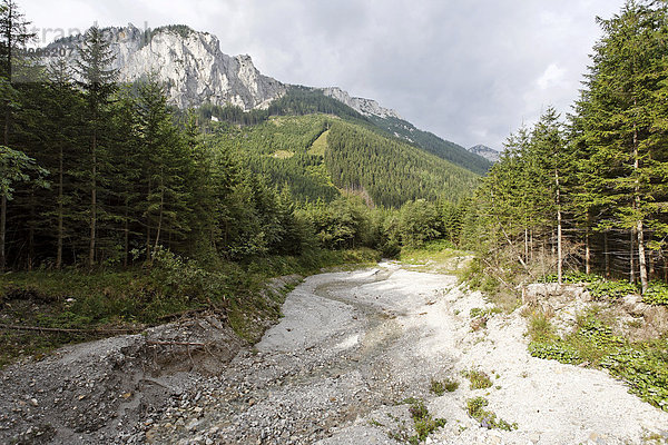 Wildbach im Jassing Tal  Hochschwab  Steiermark  Österreich