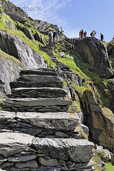 600 Stufen führen steil hinauf zu der alten Mönchssiedlung von Skellig Michael  Skelligs Inseln  Irland