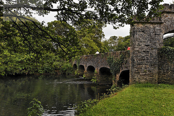 Alte Steinbrücke die zum Lord Brandons Cottage führt  Killarney Nationalpark  Irland