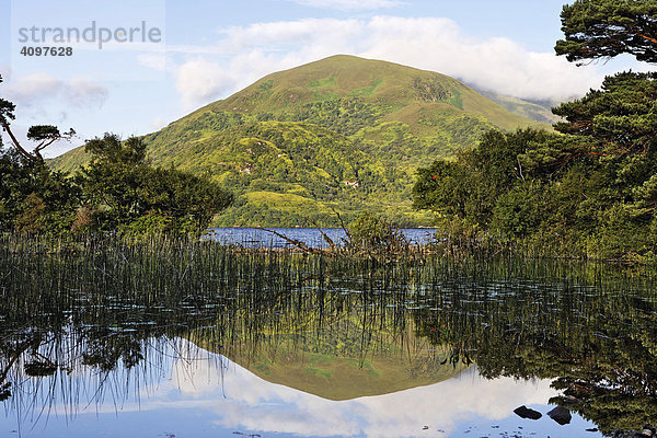 Loch Lein und der Berg Shehy  Ross Halbinsel  Killarney Nationalpark  Irland