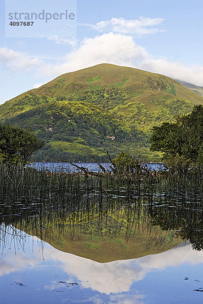 Loch Lein und der Berg Shehy  Ross Halbinsel  Killarney Nationalpark  Irland
