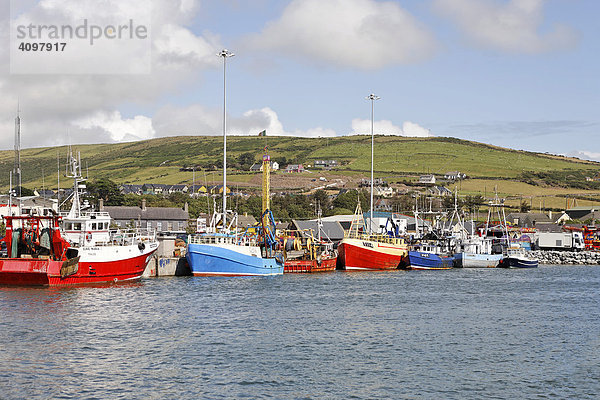 Schiffe für den Fischfang  Dingle  Kerry  Irland