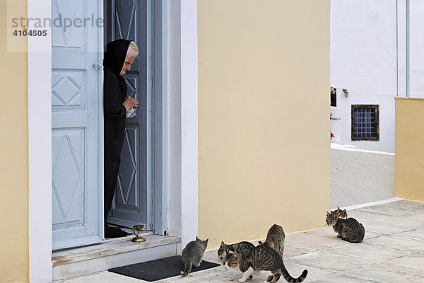 Katzen werden von einer alten Frau gefüttert  Firostefani  Santorin  Griechenland