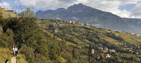 Von links der Algunder Waalweg dann Dorf Tirol darunter Brunnenburg und dahinter Ilfinger Spitze  bei Meran  Südtirol  Italien