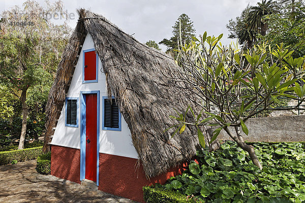Strohgedecktes Santana Haus im botanischer Garten (Jardim Botanico)  Funchal  Madeira  Portugal