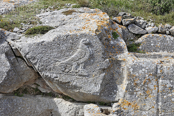 Steinrelief eines Adlers (Zeus)  Heiligtum des Artemidoros  Alt Thira  Santorin  Griechenland