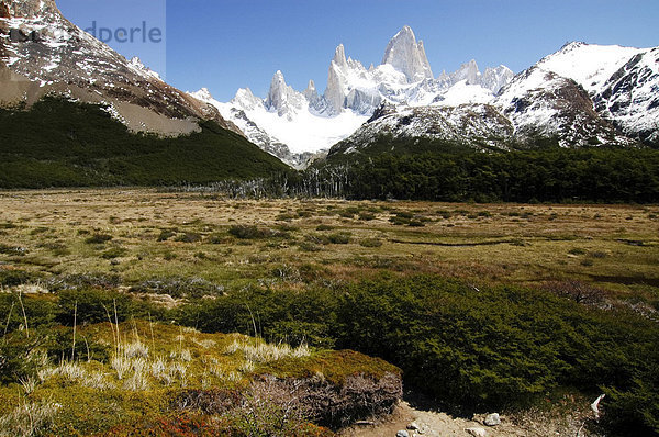 Mount Fitz Roy  Los Glaciares Nationalpark  Patagonien  Argentinien