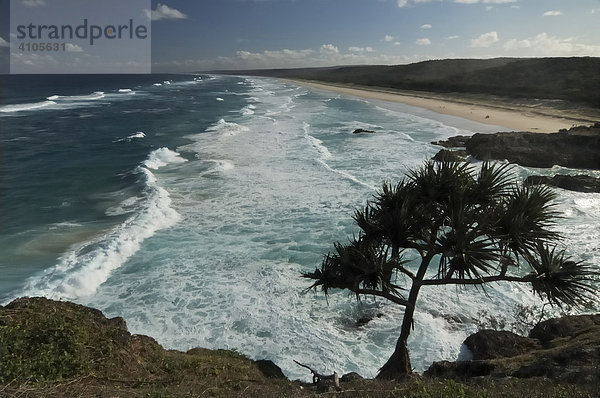 Main Beach vom Point Lookout gesehen  North Stradbroke Island  Queensland  Australien