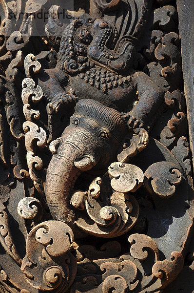 Elefanten Darstellung  Banteay Srei Tempel  Angkor Wat  Siem Reap  Kambodscha