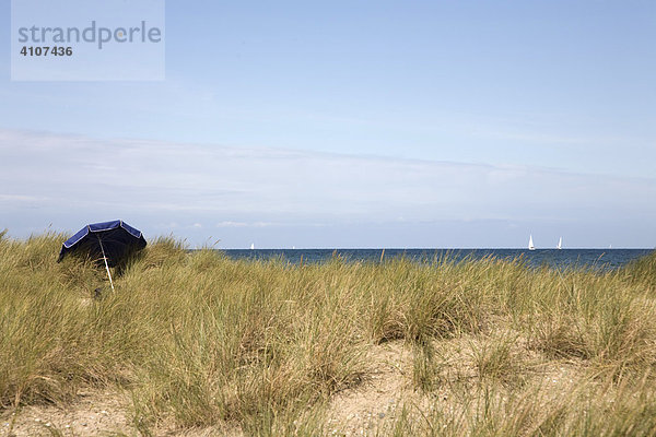 In den Ostsee Dünen  Heiligenhafen  Ostholstein  Ostsee  Schleswig Holstein  Norddeutschland  Deutschland