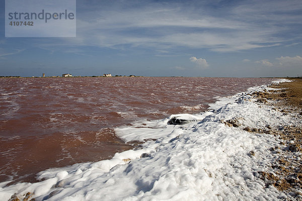 Salzgewinnung  Salina de Cumaraguas  Peninsula de Paraguaná  Karibik  Venezuela  Südamerika
