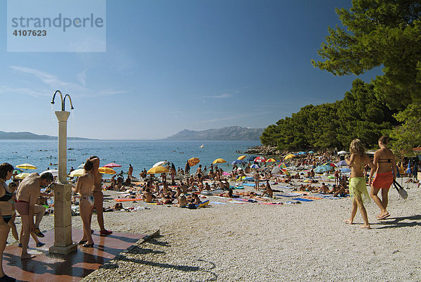 Belebter Strand voller Urlauber  Dalmatinische Küste  Kroatien  Europa
