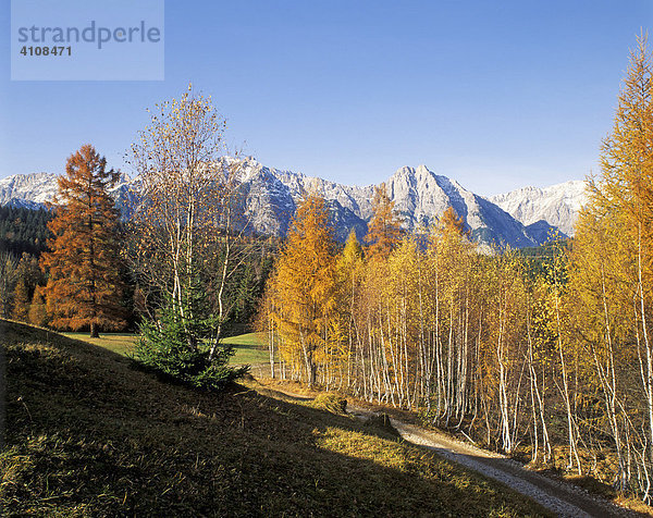 Karwendel von Seefeld  Tirol  Österreich  Europa