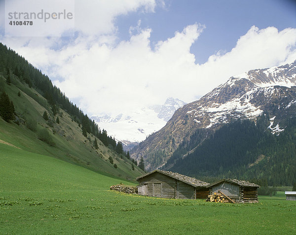 Valser Tal  Zillertaler Alpen  Tirol  Österreich  Europa