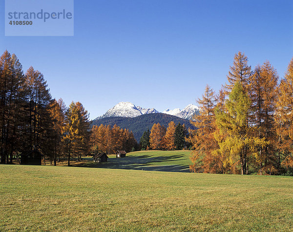 Mieminger Plateau  Tirol  Österreich  Europa