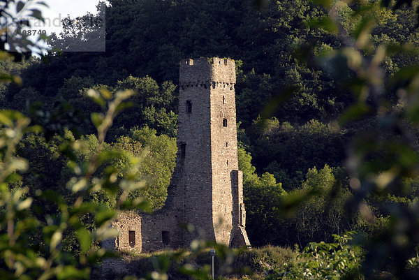 Burgruine Monreal  Monreal  Bundessieger  Unser Dorf hat Zukunft 2004  Rheinland-Pfalz  Deutschland  Europa