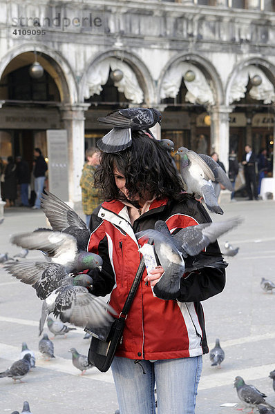 Taubenfütterung  Markusplatz  Venedig  Venetien  Italien