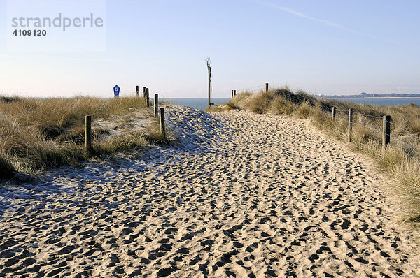 Strandweg beim Ellenbogen in der Nähe von List  Sylt  nordfriesische Insel  Schleswig Holstein  Deutschland  Europa