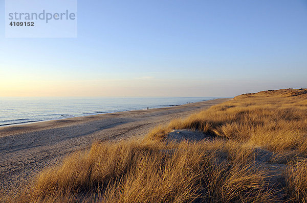 Strand 5 Km südlich von Westerland  Sylt  nordfriesische Insel  Schleswig Holstein  Deutschland  Europa