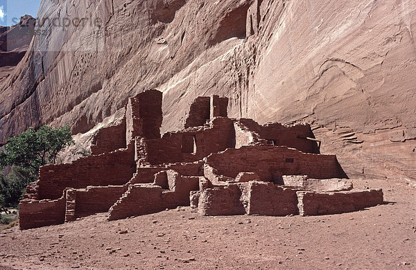 White House Ruins  Ruinen einer alten Indianerkultur  Canyon de Chelly  Arizona  USA  Nordamerika