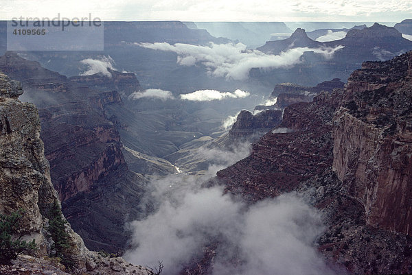 Grand Canyon am Cape Royal  North Rim  nach einem Gewitter  Arizona  USA