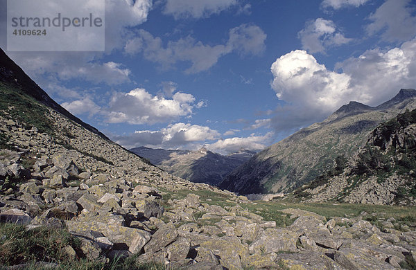 Kleinelendtal  Nationalpark Hohe Tauern  Kärnten  Österreich