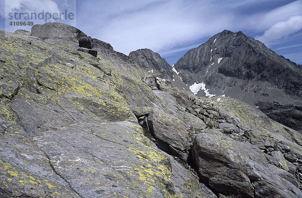 Felsbrocken im Gradental  Nationalpark Hohe Tauern  Kärnten  Österreich