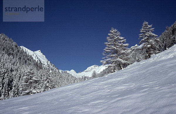Tief verschneite Winterlandschaft im Hintereggengraben  Hohe Tauern  Kärnten  Österreich