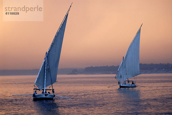 Segelboote  Felukken  Luxor  Nil  Ägypten  Afrika