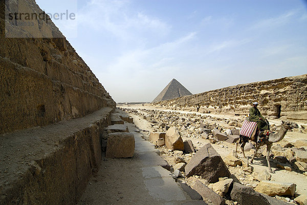 Pyramiden von Gizeh  Kairo  Ägypten  Afrika