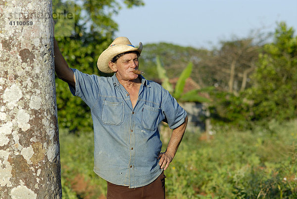 Kubaner mit Zigarre  Vinales  Pinar del Rio  Kuba