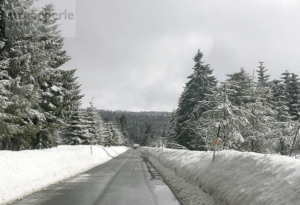 Freie Fahrbahn im Wald auf der nassen Straße durch das Erzgebirge im Winter  Sachsen  Deutschland
