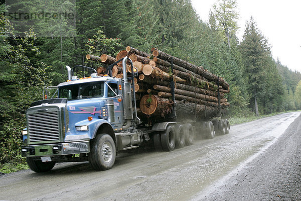 LKW transportiert Baumstämme