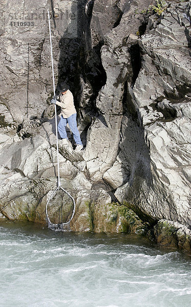 Indianer angelt Lachse mit langer Stange und Netz im Bulkley River in Morristown  British Columbia  Kanada