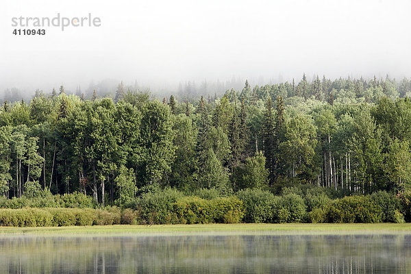 Nebel über dem Babine Lake in British Columbia  Kanada