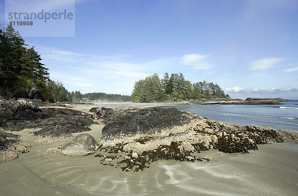 Strand bei Ebbe an der Pazifikküste im Pacific Rim Nationalpark bei Tofino auf Vancouver Island in British Columbia  Kanada