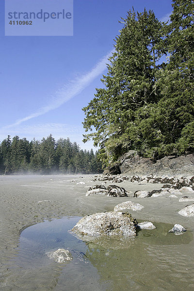 Sandstrand bei Ebbe an der Pazifikküste im Pacific Rim Nationalpark bei Tofino auf Vancouver Island in British Columbia  Kanada